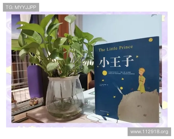 感受纯真与梦想:《小王子》电影的深刻魅力